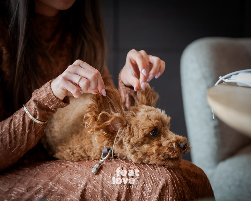 Préparatifs mariage Featlove